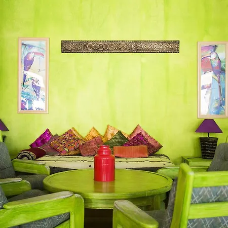 Mirachoro 卡武埃鲁